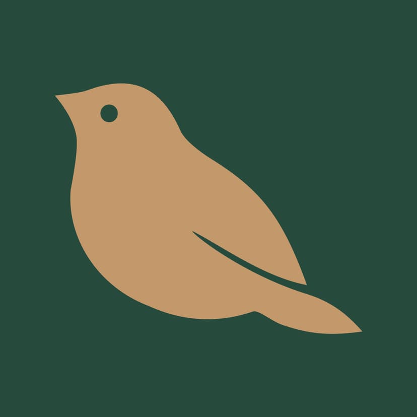 Cicini Glyph Green Background