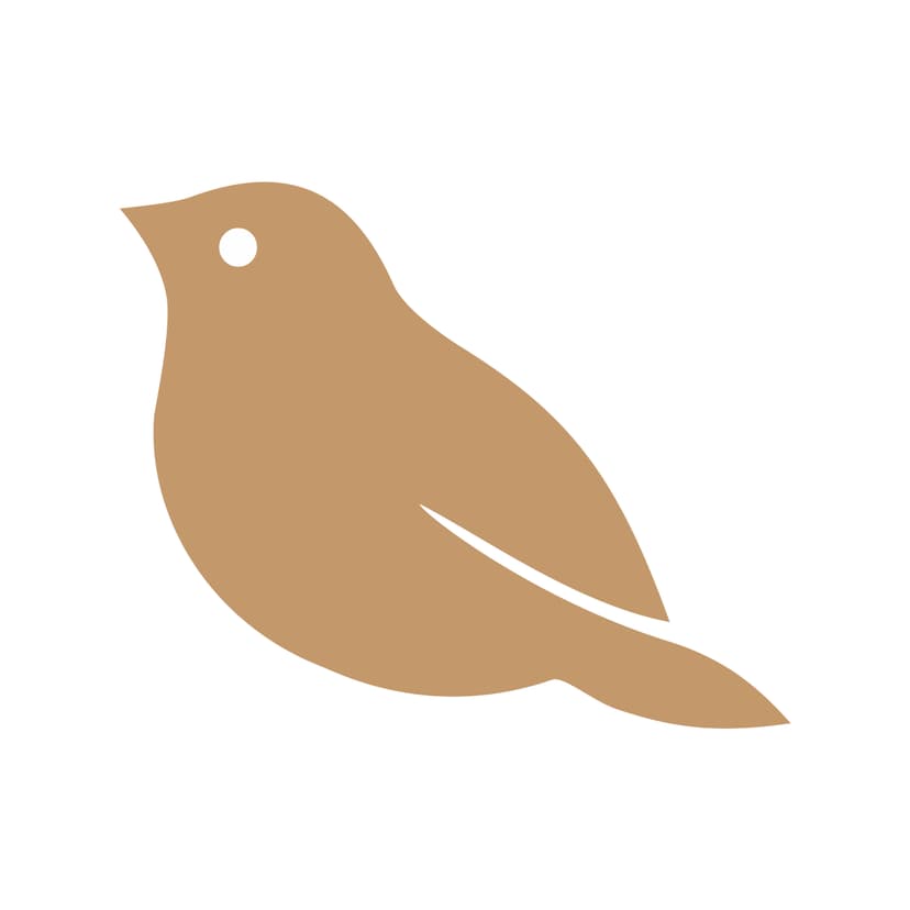 Cicini Glyph White Background